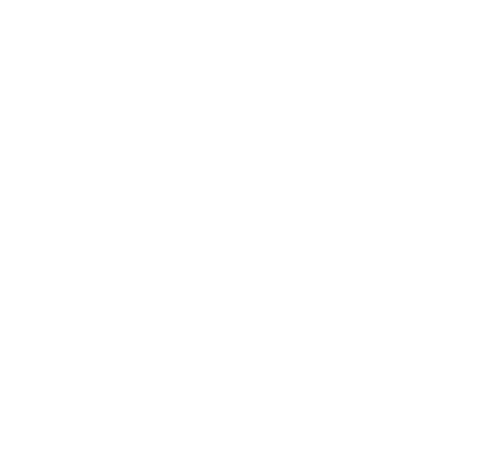 Logo BIBOKI